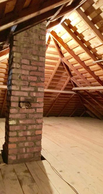 Floored attic for expansion or storage