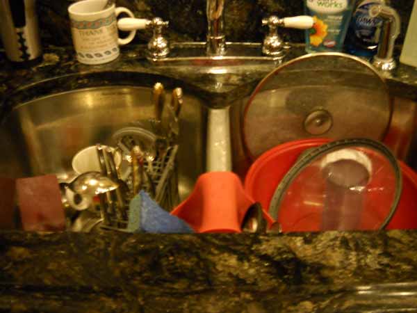 Demetrius' double-barrel kitchen sink
