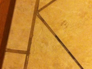 stained grout