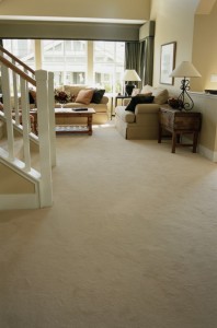 neutral carpet