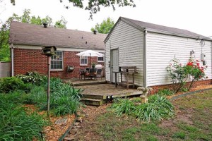 back yard